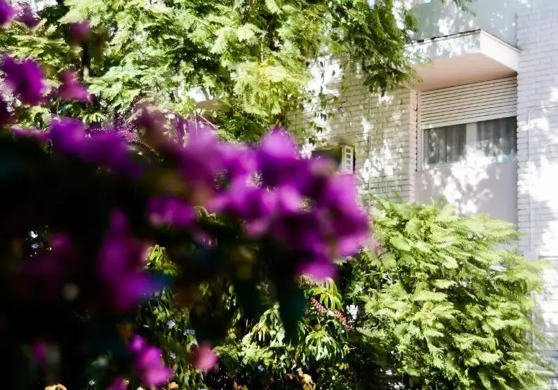 בית מלון כפרי Nutibara