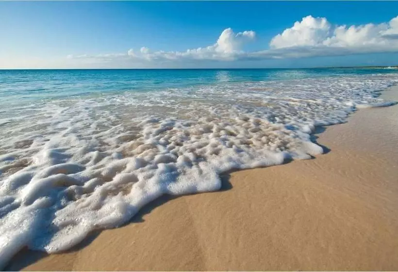 هتل Grace Bay Club