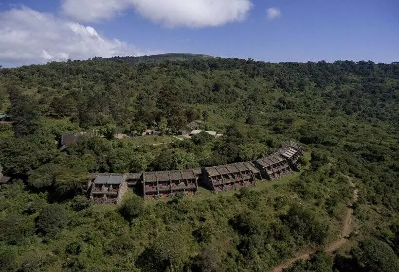 호텔 Ngorongoro Serena Safari Lodge