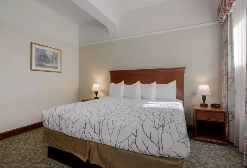 Best Western Plus Pioneer Square Hotel Downtown