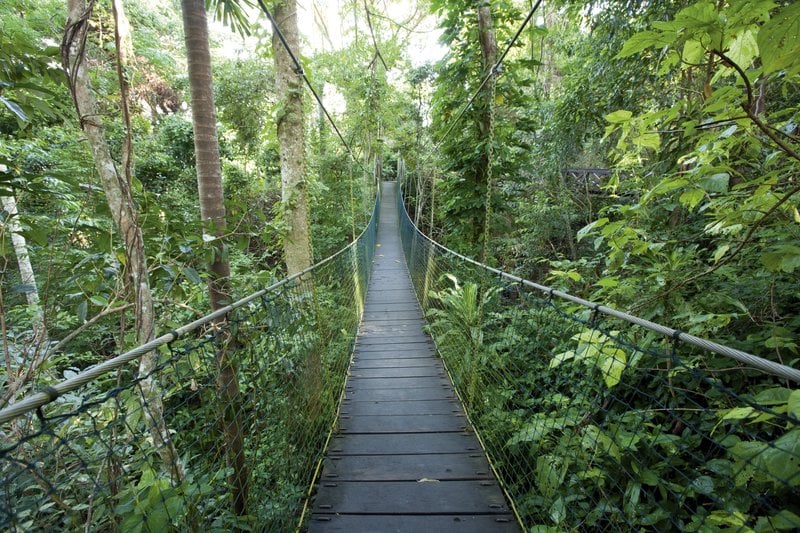 Hotel Bloomfield Lodge Beautifully Remote