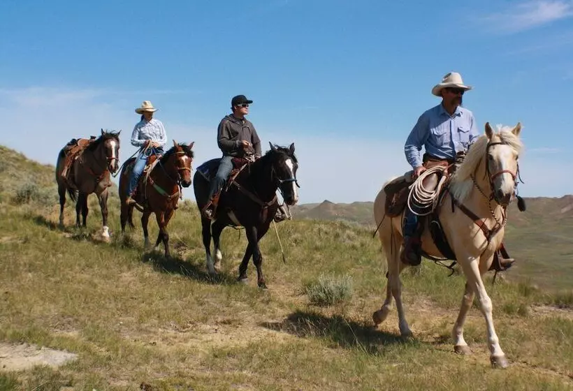 Отель Ranch At Ucross