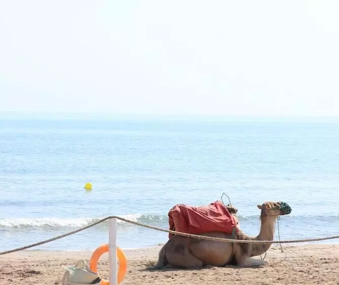 هتل The Residence Tunis