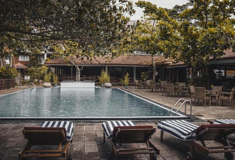 Hotelli Tree Of Life Nature Resort