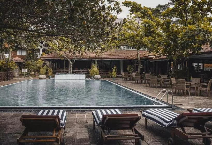 هتل Tree Of Life Nature Resort