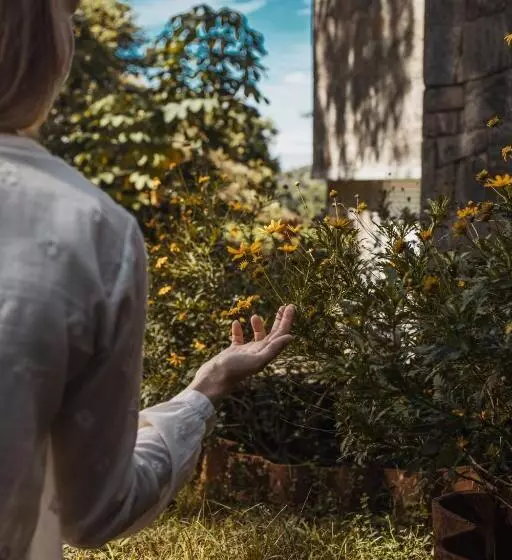 هتل Tree Of Life Nature Resort