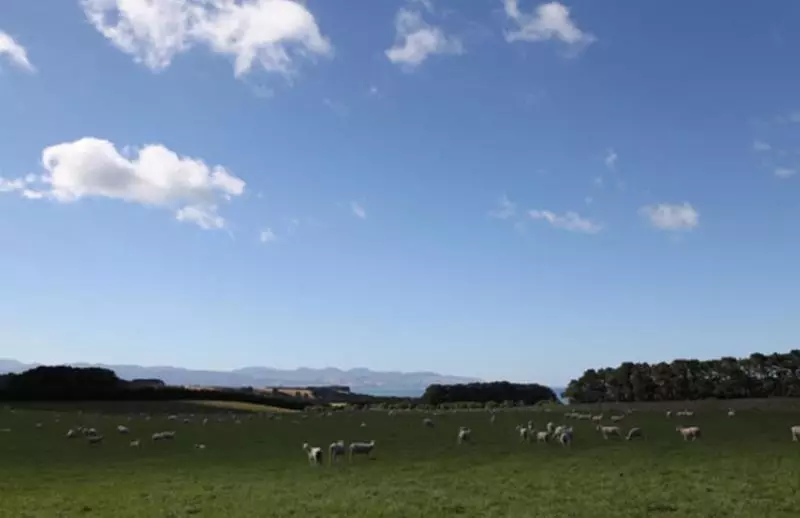 호텔 Wharekauhau Country Estate