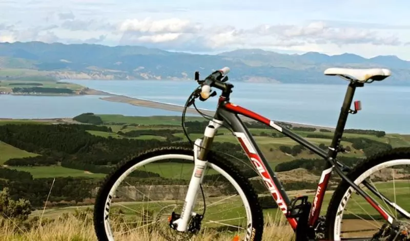 호텔 Wharekauhau Country Estate