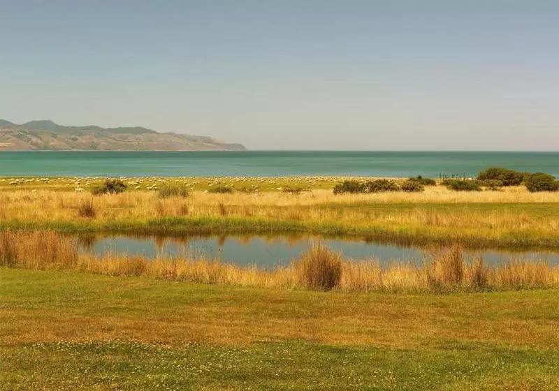 호텔 Wharekauhau Country Estate