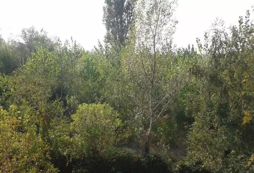 Bed and Breakfast Bed Breakfast Hotel Budapest