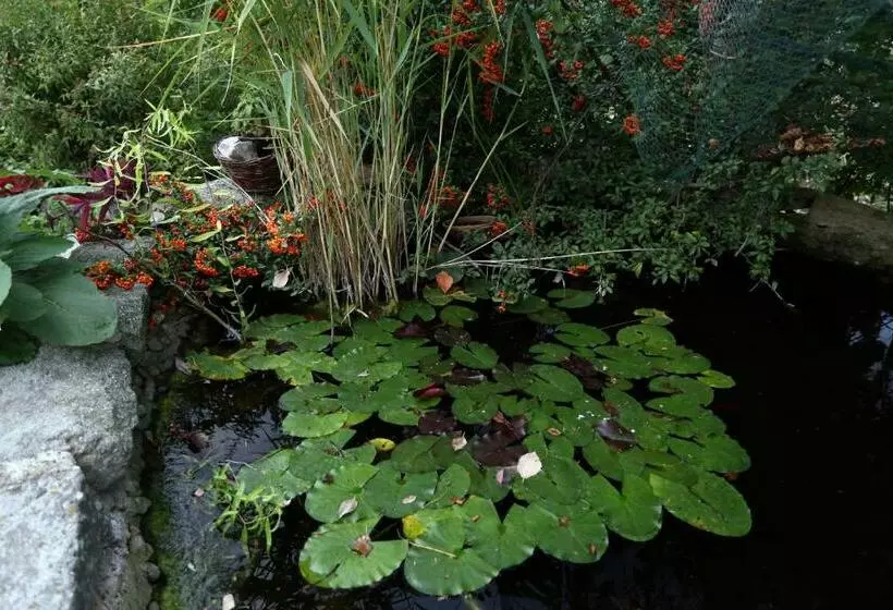 Отель Alabástrom Panzió és étterem