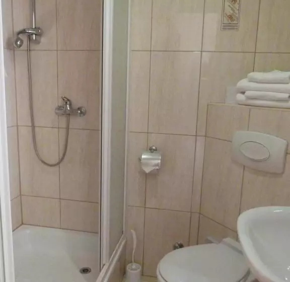 בית מלון כפרי Kopernik