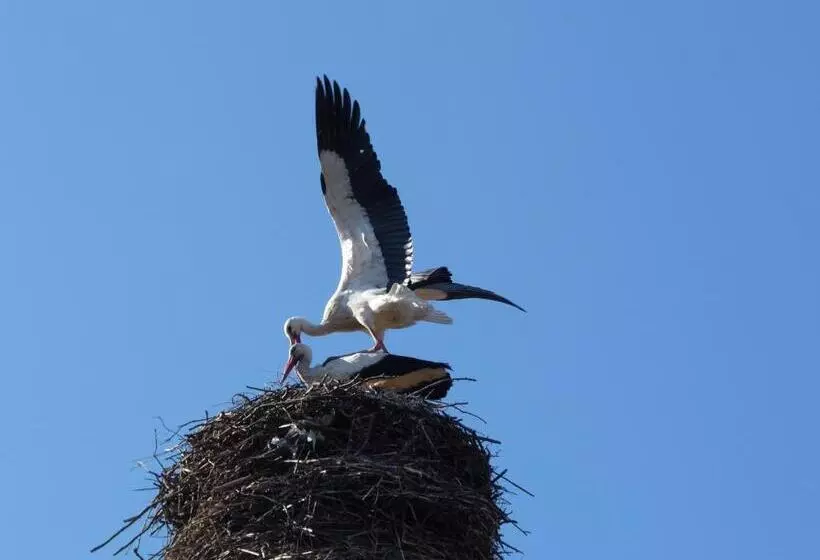 בית מלון כפרי Kopernik