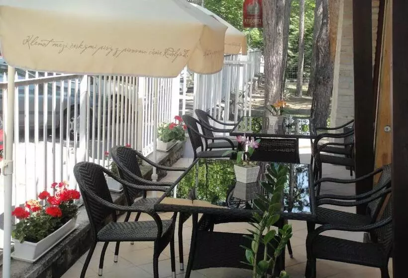 בית מלון כפרי Korona