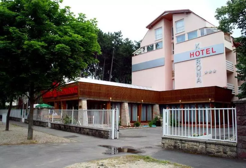 בית מלון כפרי Korona