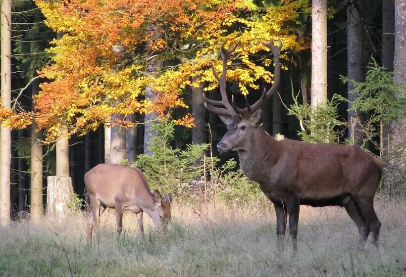 Berg & Spa Hotel Gabelbach