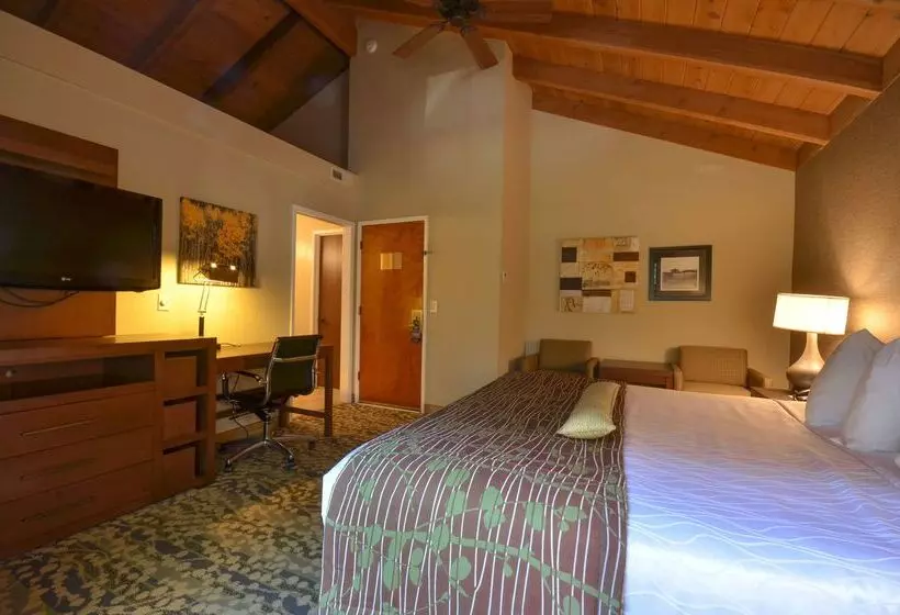 فندق Best Western The Inn & Suites Pacific Grove