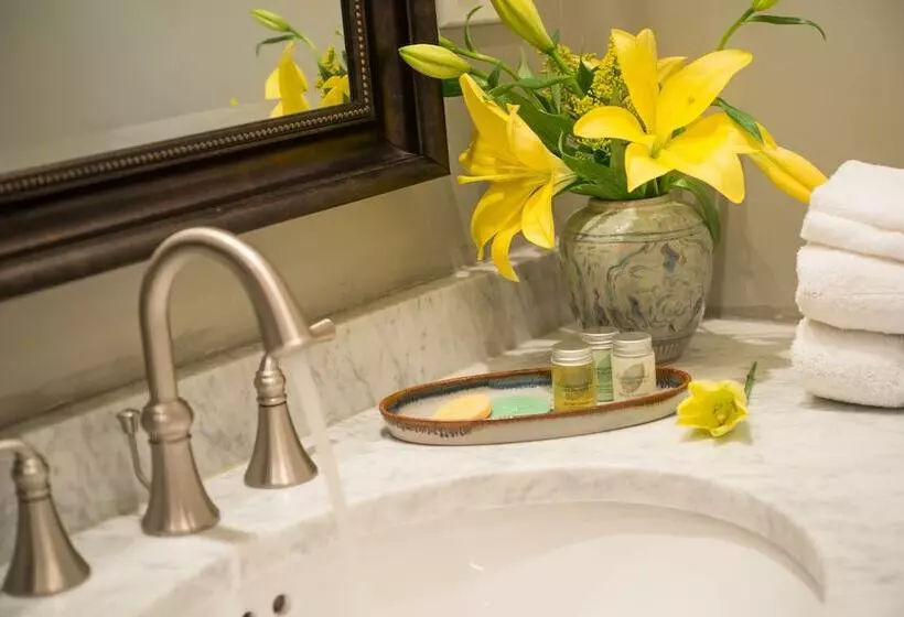 Отель Inn Of The Turquoise Bear