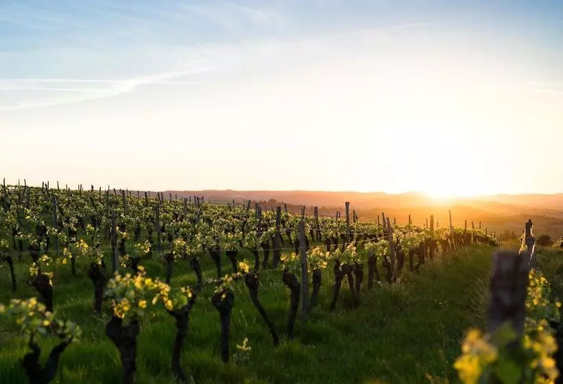 酒店 Paul & Pia  Welcome Home