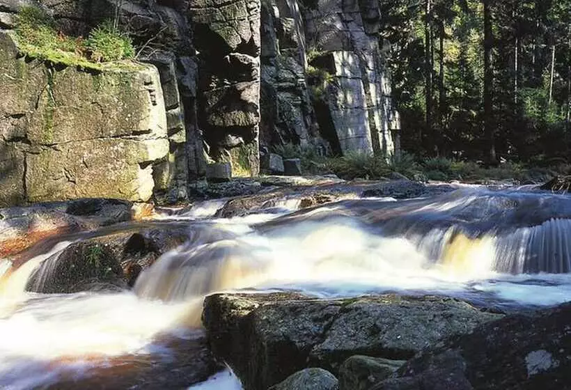 酒店 Schwarzbeerschanke Pobershau