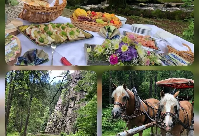 酒店 Schwarzbeerschanke Pobershau