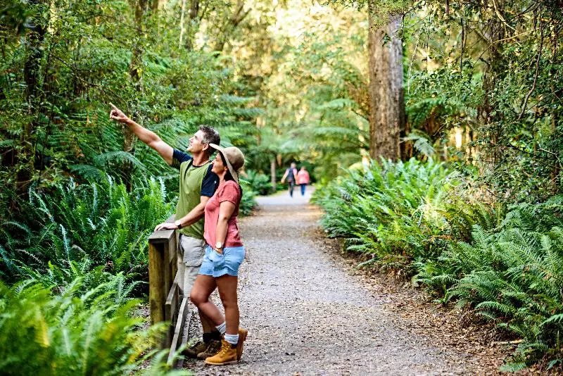 Отель Strahan Village