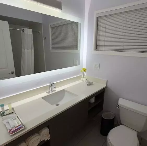 ホテル The Palo Alto Inn