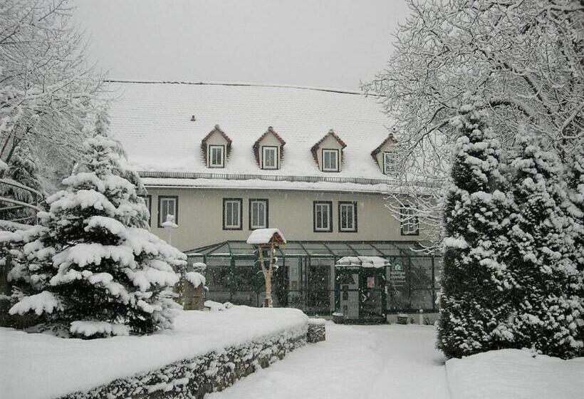Waldhotel Linzmühle