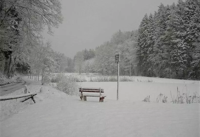 Waldhotel Linzmühle