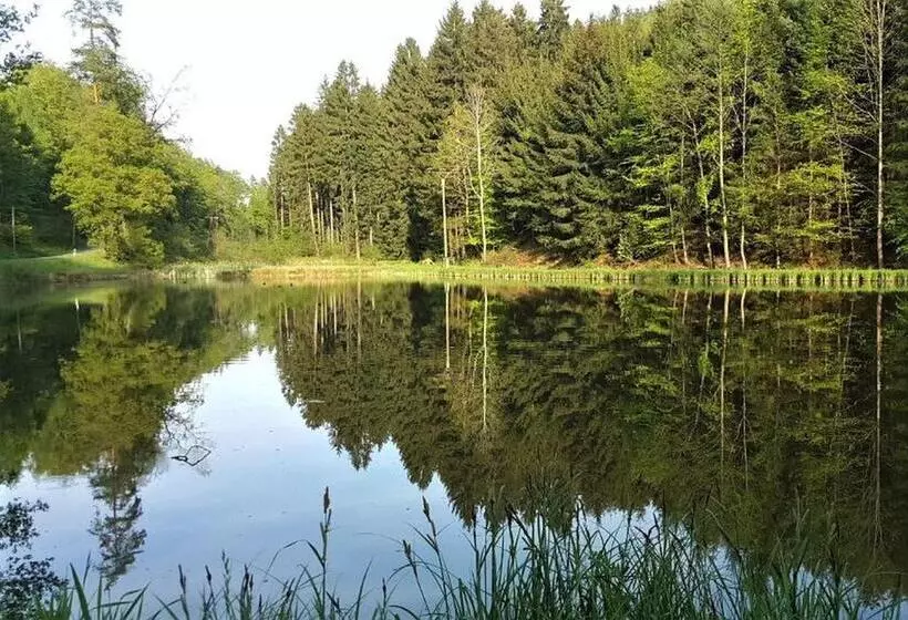 Waldhotel Linzmühle