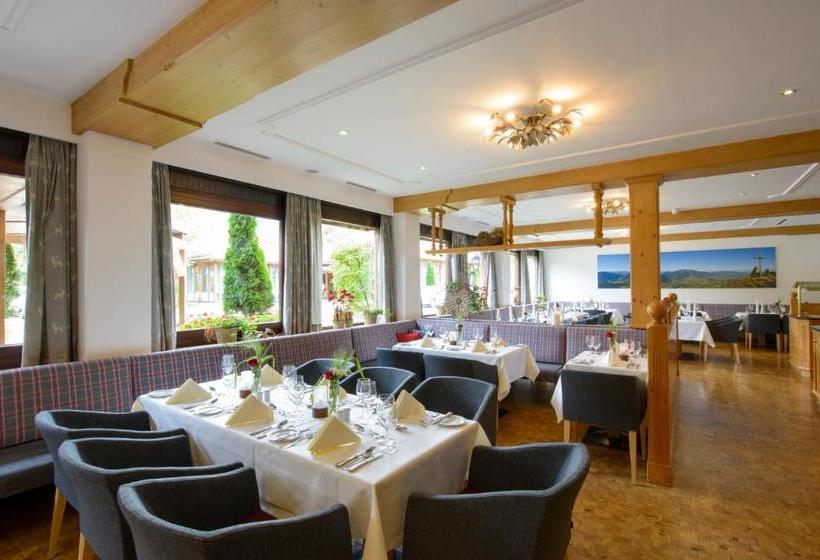 Hotel Arabella Brauneck