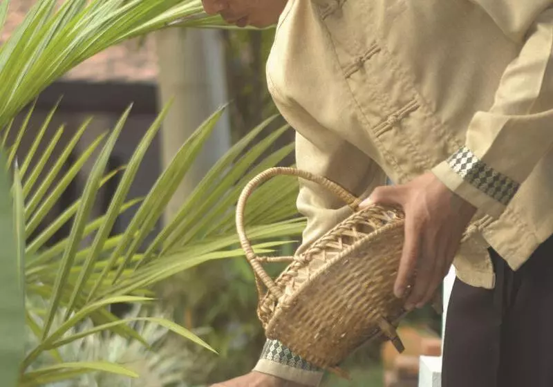 هتل La Résidence Phou Vao