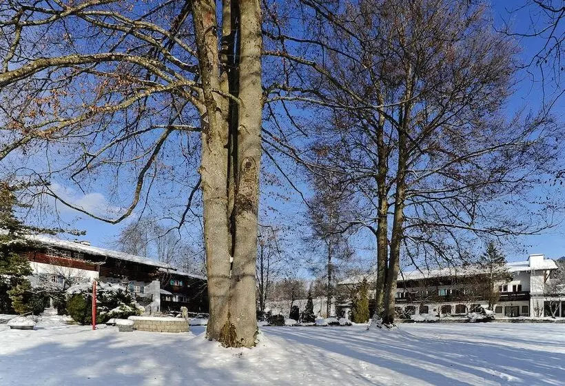 Stoll S Hotel Alpina