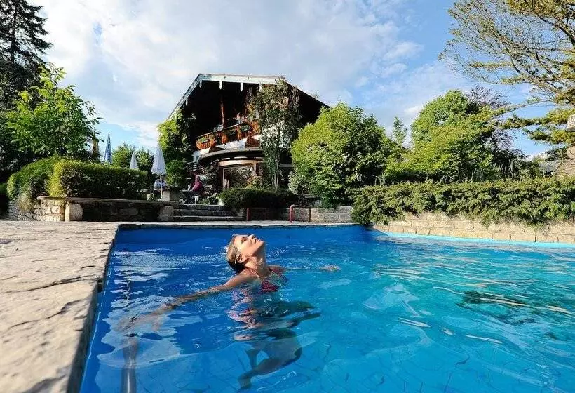 Stoll S Hotel Alpina