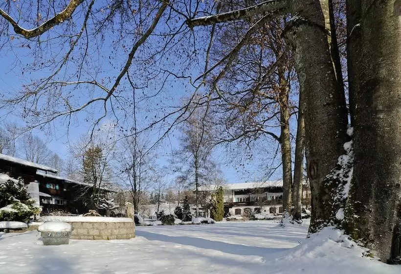 Stoll S Hotel Alpina