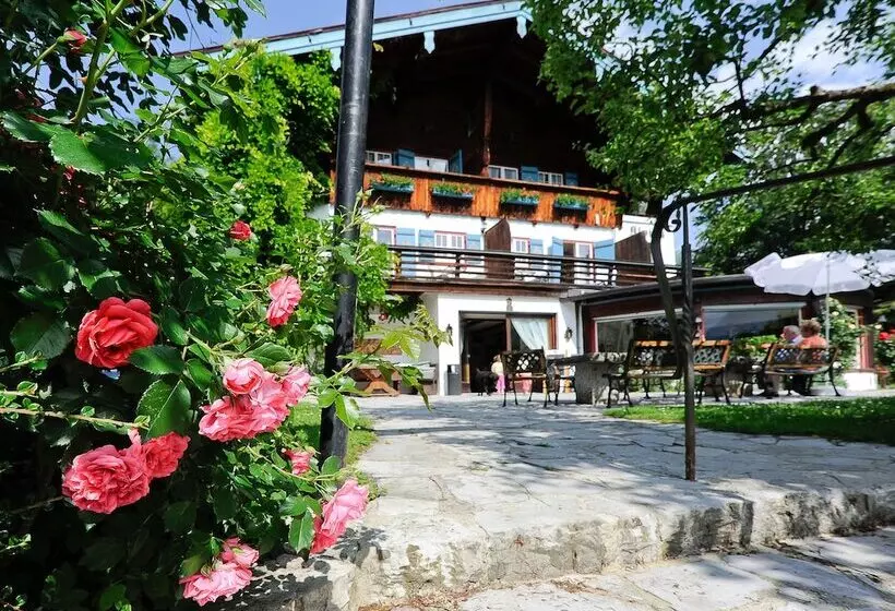 Stoll S Hotel Alpina