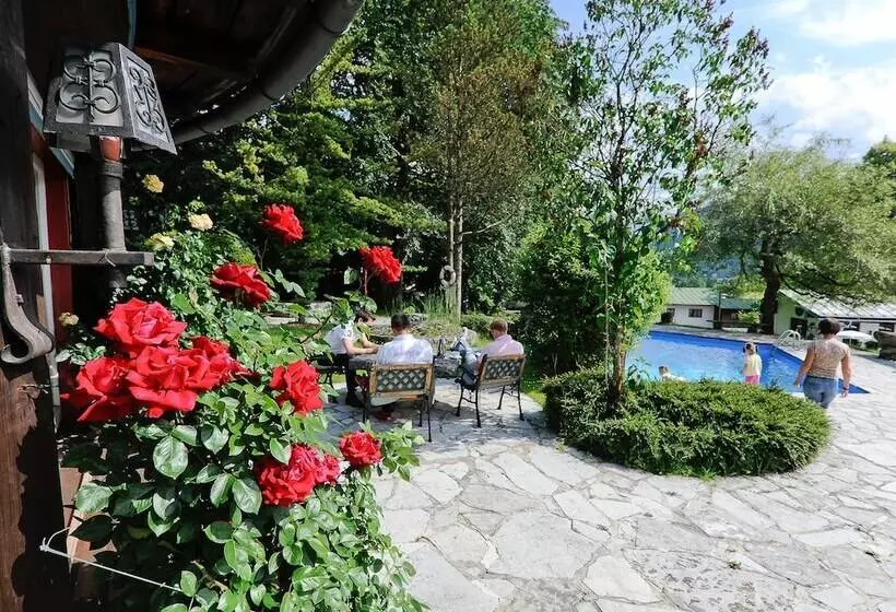 Stoll S Hotel Alpina