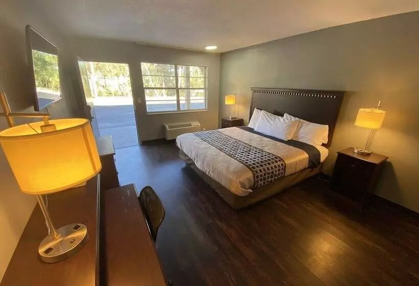 בית מלון כפרי Americas Best Value Inn Gainesville