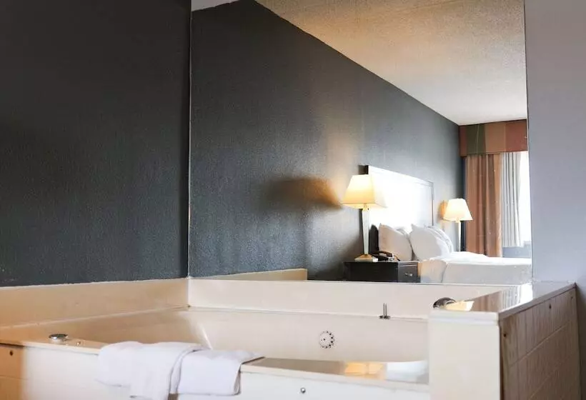 酒店 Baymont By Wyndham Flint Airport North