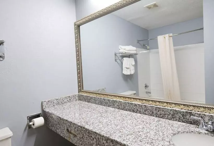 酒店 Baymont By Wyndham Flint Airport North