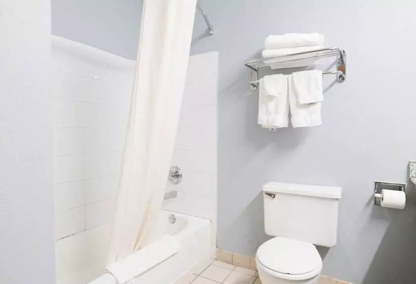 酒店 Baymont By Wyndham Flint Airport North