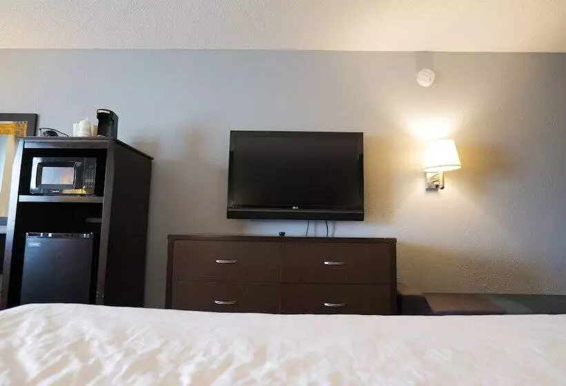 酒店 Baymont By Wyndham Flint Airport North