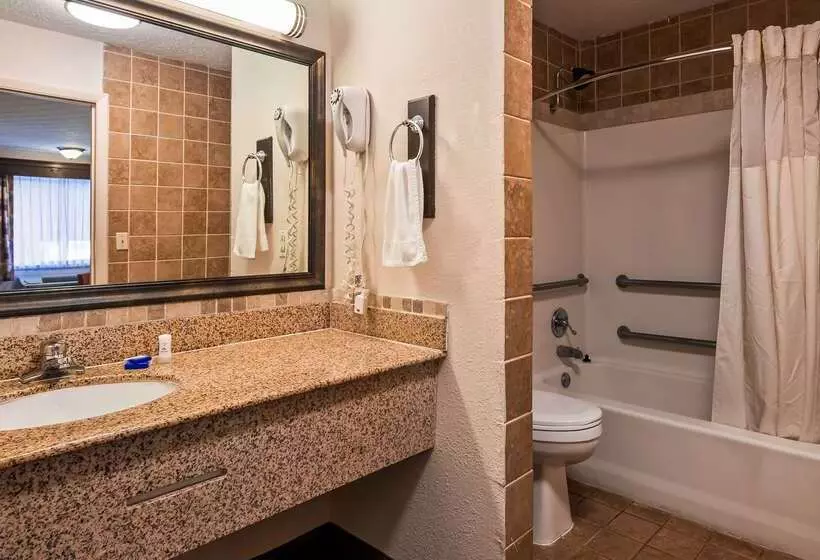 Отель Best Western Braselton Inn