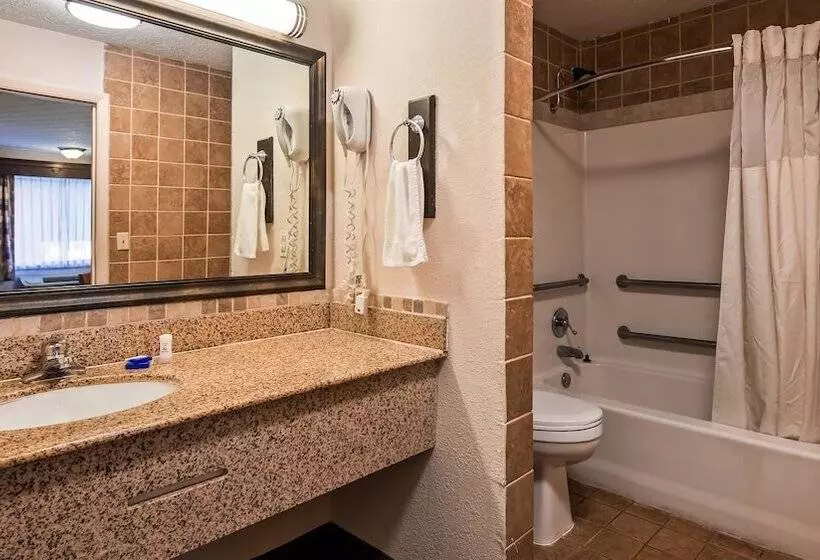 Отель Best Western Braselton Inn