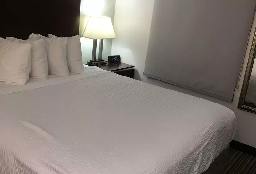 Best Western Courtesy Inn Hotel Anaheim Resort At The Park