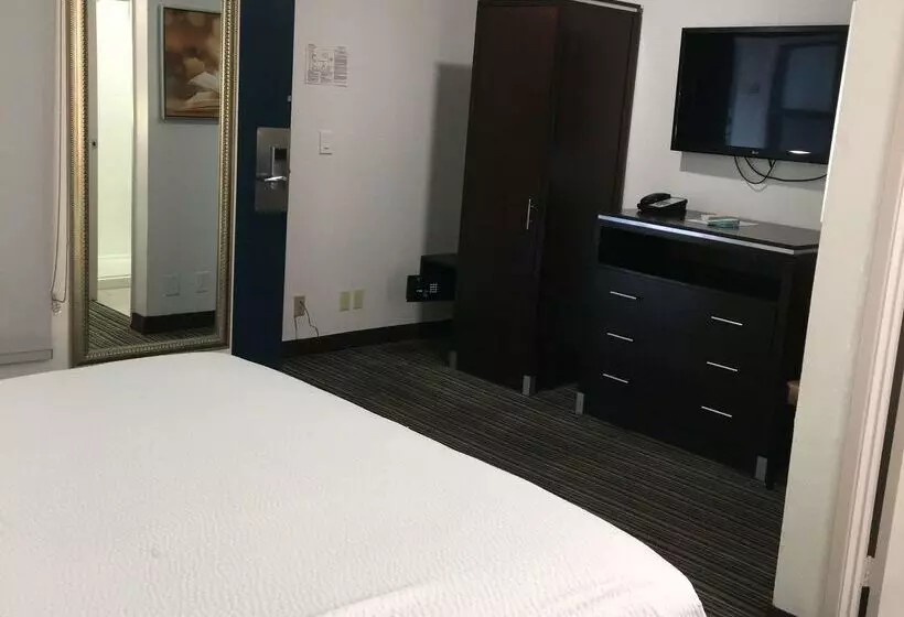 Best Western Courtesy Inn Hotel Anaheim Resort At The Park