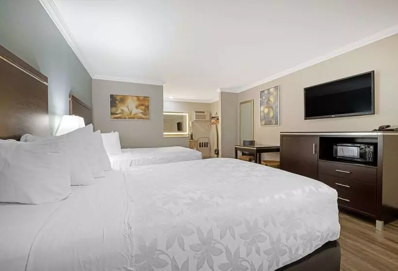 Best Western Courtesy Inn Hotel Anaheim Resort At The Park