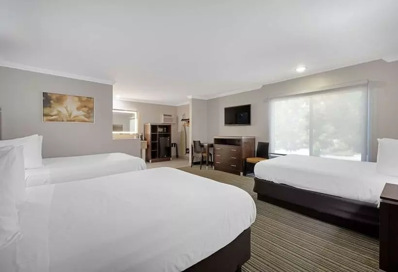 Best Western Courtesy Inn Hotel Anaheim Resort At The Park