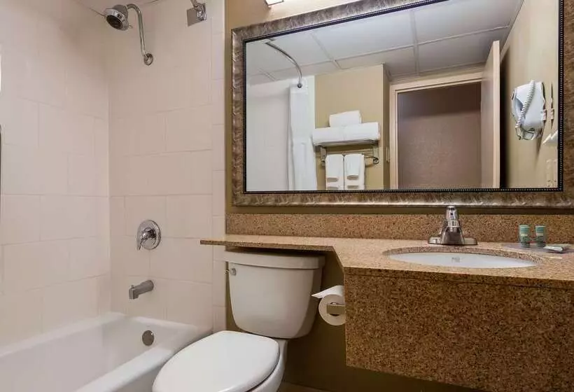 Отель Best Western Crossroads Of The Bluffs