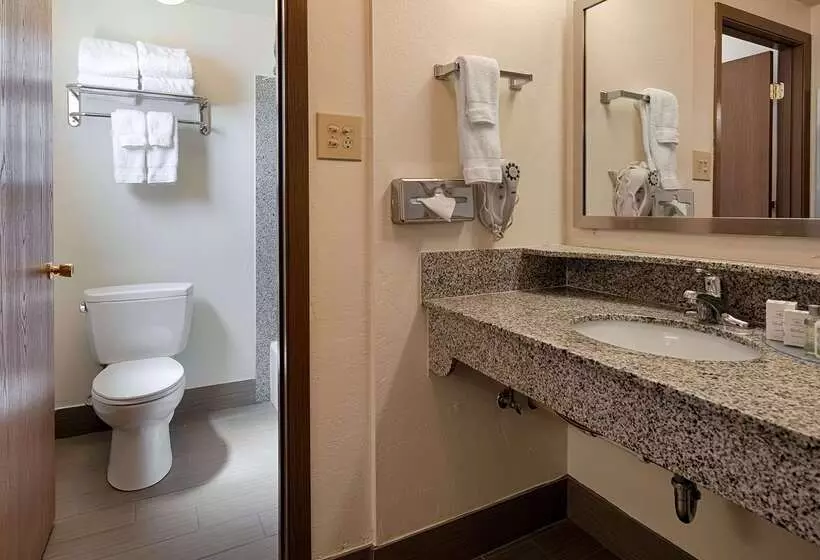 Отель Best Western Paradise Inn